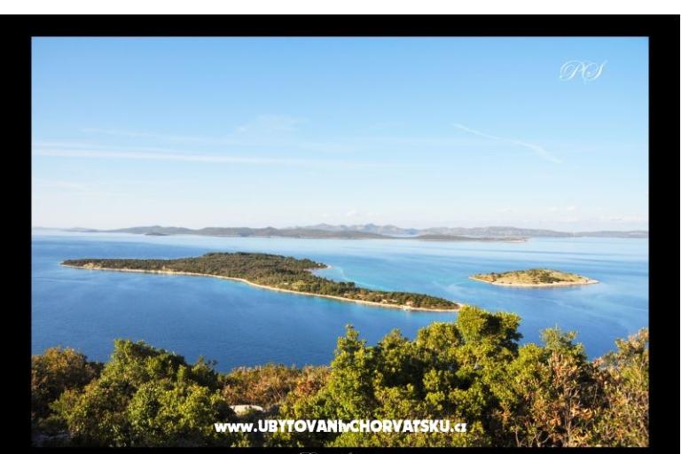 апартаменты  Zaglav Dugi otok  – фото 13