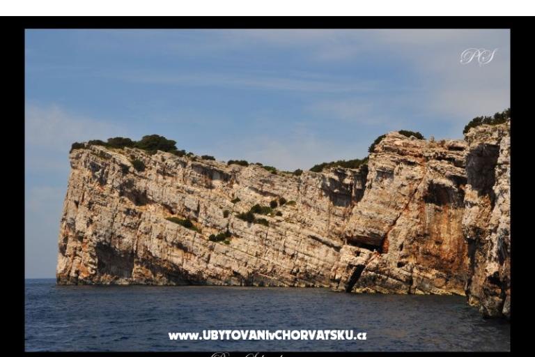 апартаменты  Zaglav Dugi otok  – фото 15