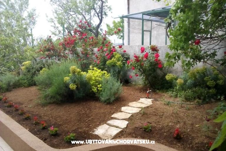 Apatmani Sučić – фото 12