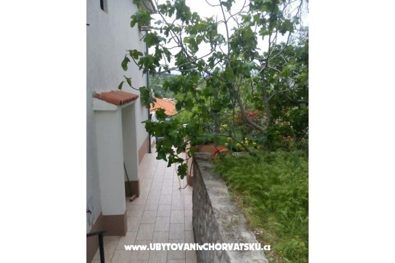 Apatmani Sučić – фото 13
