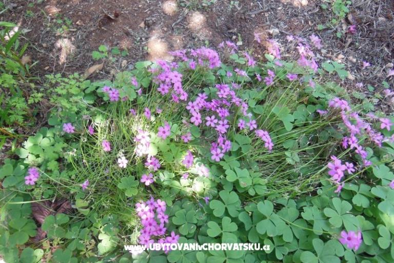 Holidayhome Oleиer – фото 13