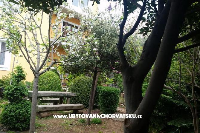 Vila Arboretum Šibenik – фото 2