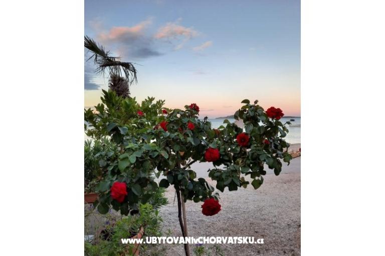 Villa Seaside Žaborić – фото 21