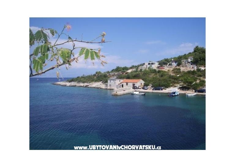 Vesna Batinic – фото 16
