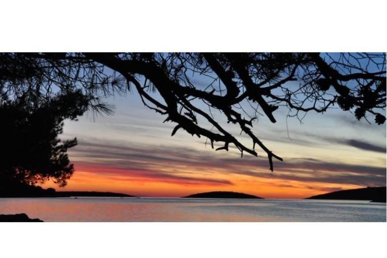 апартаменты Oliva - Otok Šolta – фото 11