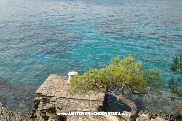 апартаменты Oliva - Otok Šolta – фото 12