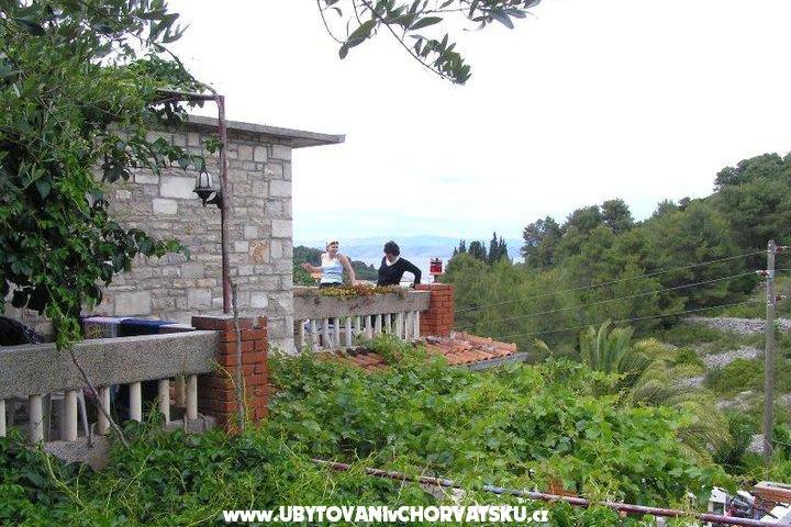 Villa Palmira – фото 3