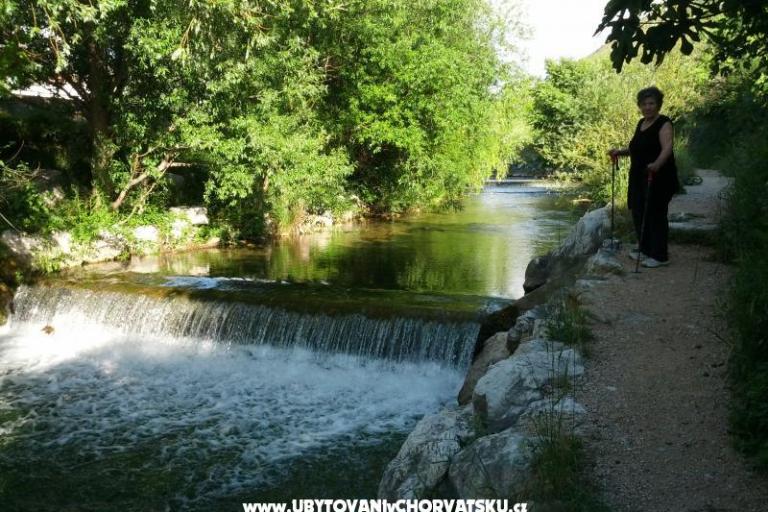 Whole house & garden only for you – фото 13