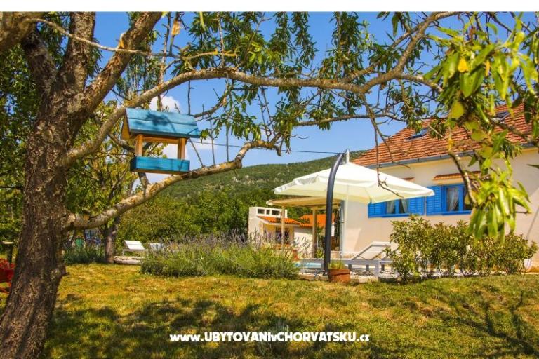 Villa Romansa- 22 km from Split – фото 4