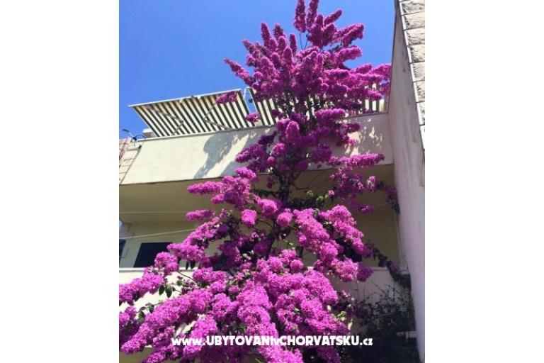 Vila Marijana – фото 6