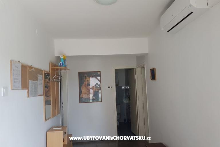 Kuča Gabriela – фото 14