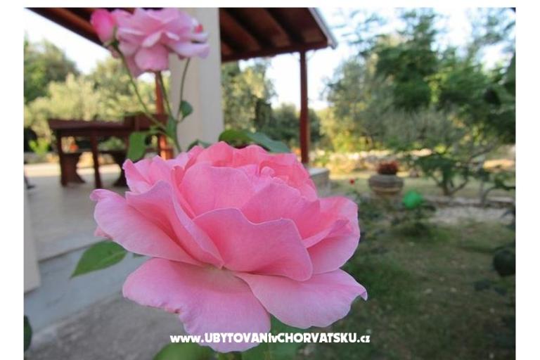 Дом отдыха Dević – фото 2