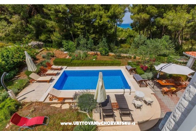 Villa Kamenica – фото 3