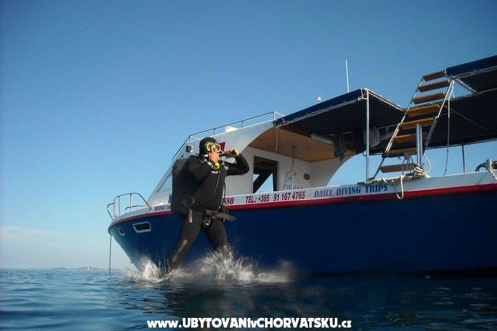 Acommodation centre FUN DIVING – фото 17