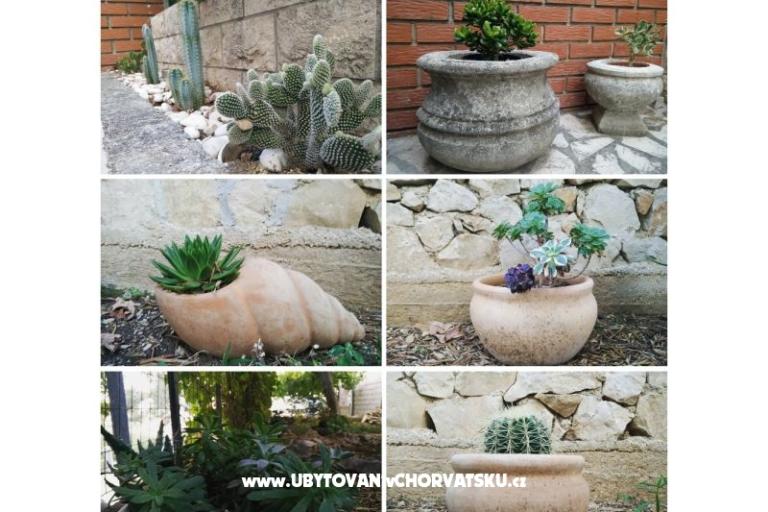 Villa Monika – фото 17