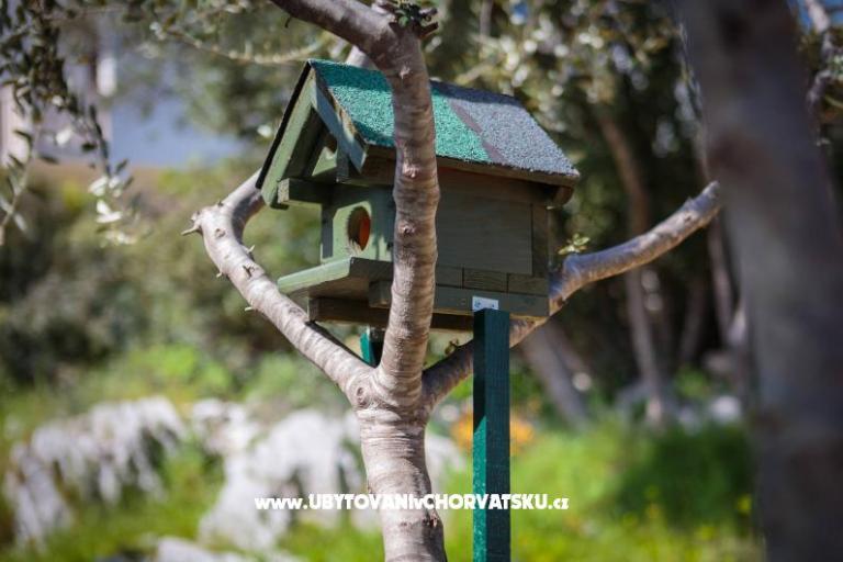 дом Tea in a beautiful nature – фото 8