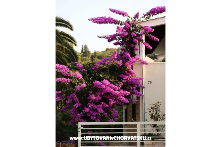 Villa Verиah – фото 9