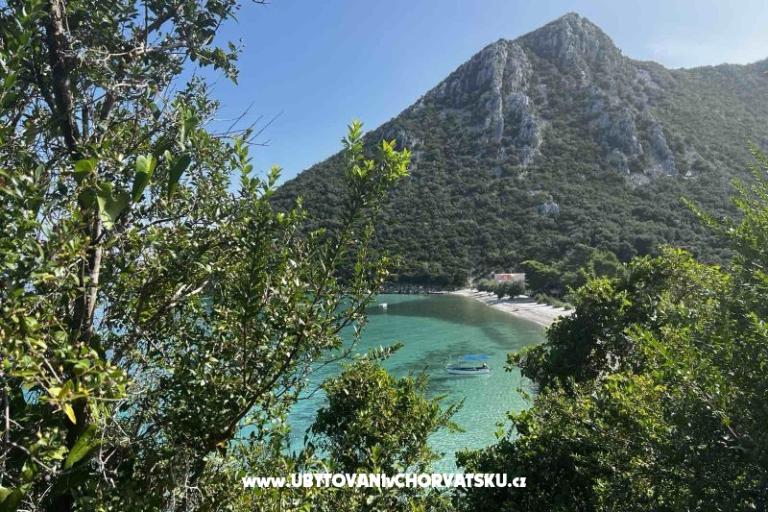 Vila Nautilus luxury апартаменты – фото 9