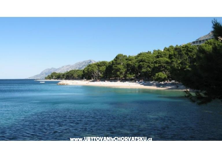 апартаменты Amarilis – фото 18