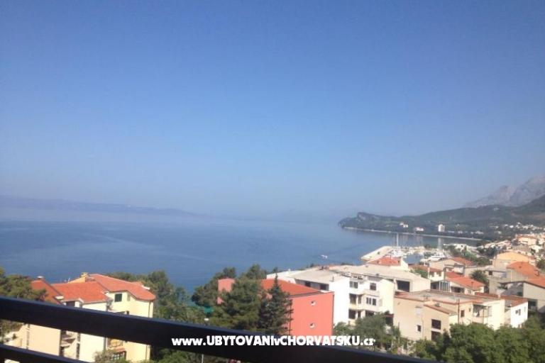 апартаменты Olga  – фото 5