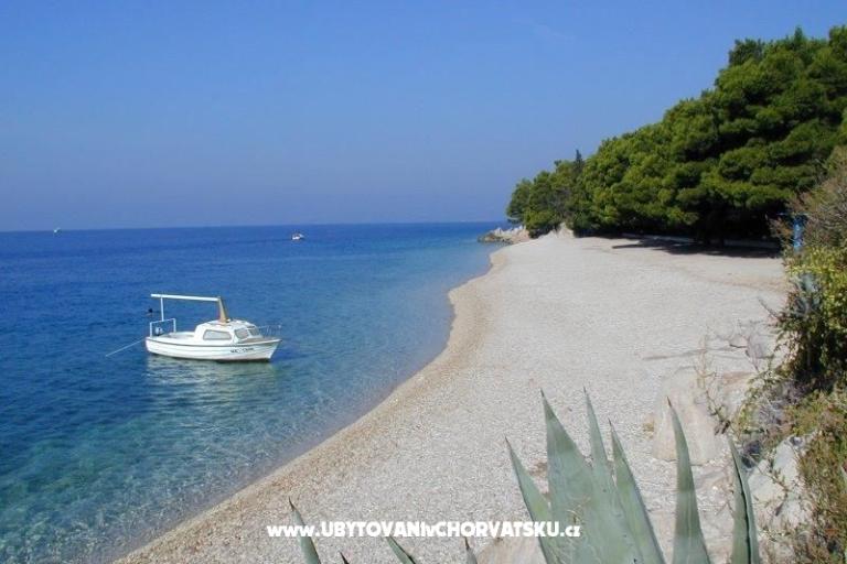 App Dragicevic -Villa Rossa 2 – фото 10