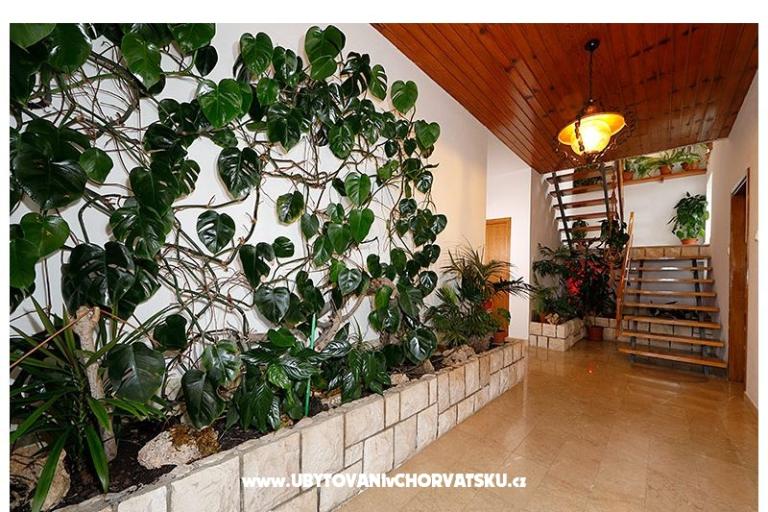 Villa 750 – фото 7