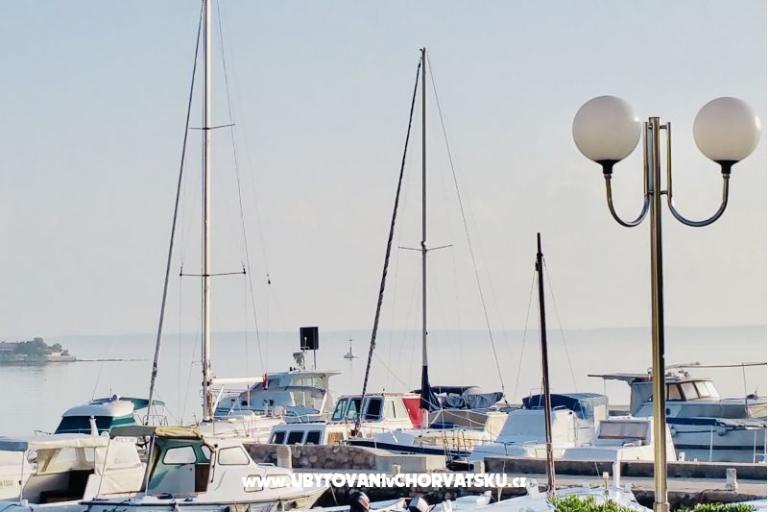 All Beachfront  – фото 7