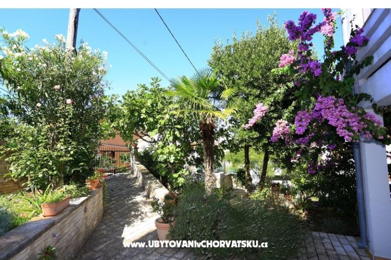 Casa Oleиer  – фото 15