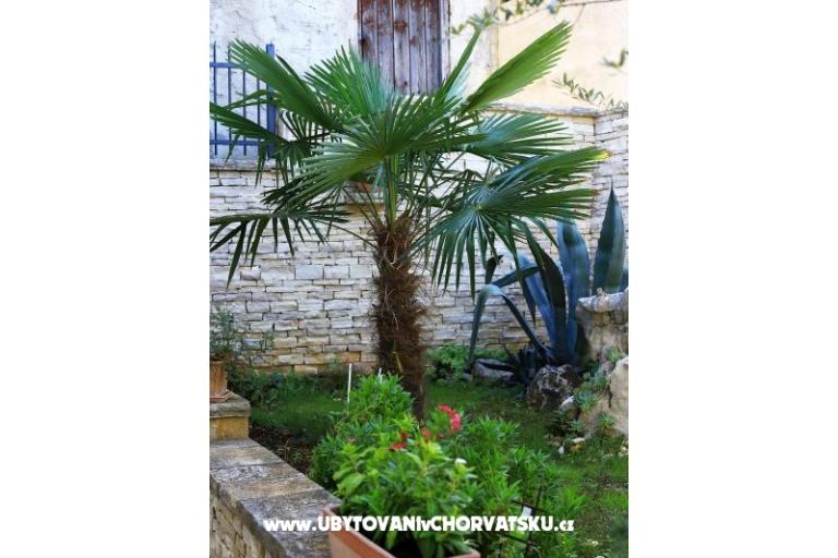 Casa Oleиer  – фото 3