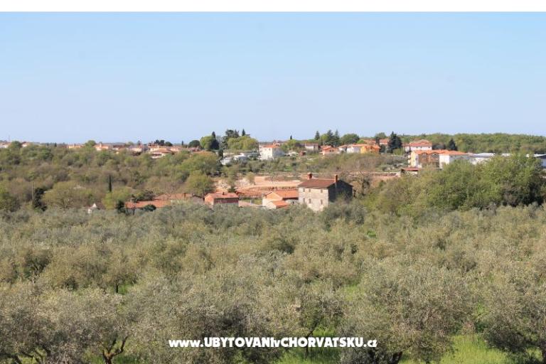 Apartma Olive garden – фото 15