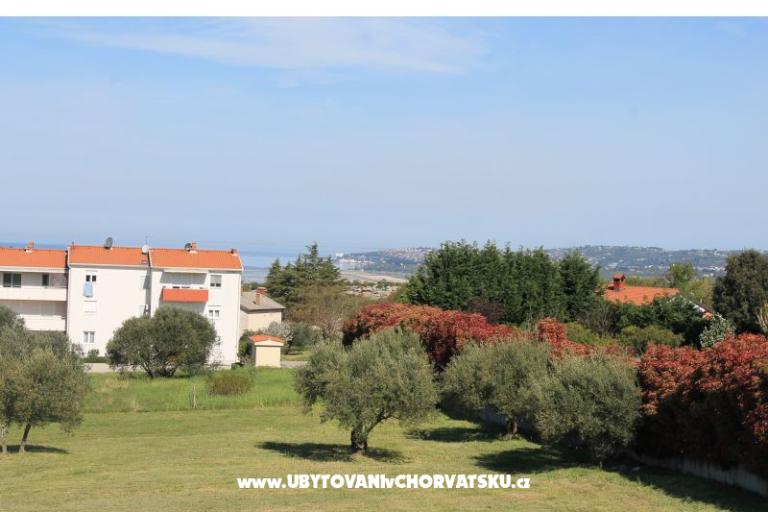 Apartma Olive garden – фото 16