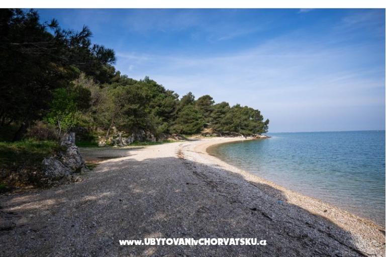 Apartma Olive garden – фото 17