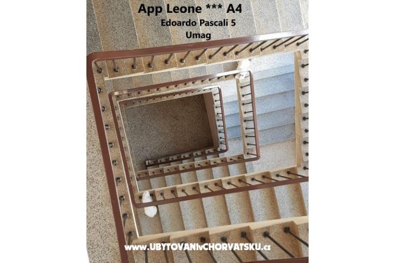 App Leone – фото 17