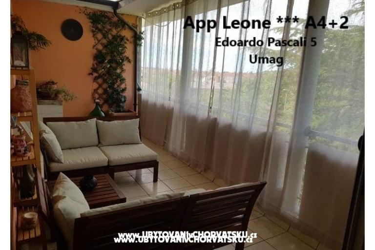 App Leone – фото 9