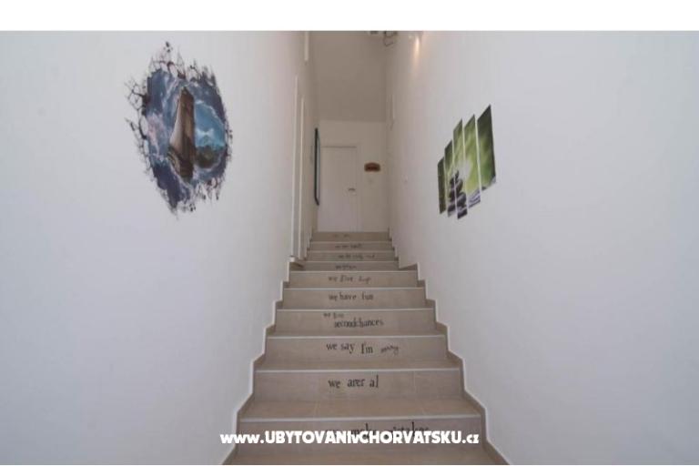 App Bonić – фото 36