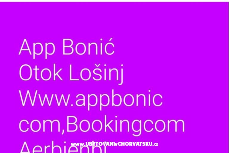 App Bonić – фото 49