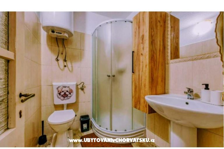 App Bonić – фото 79