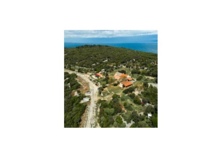 App Bonić – фото 97