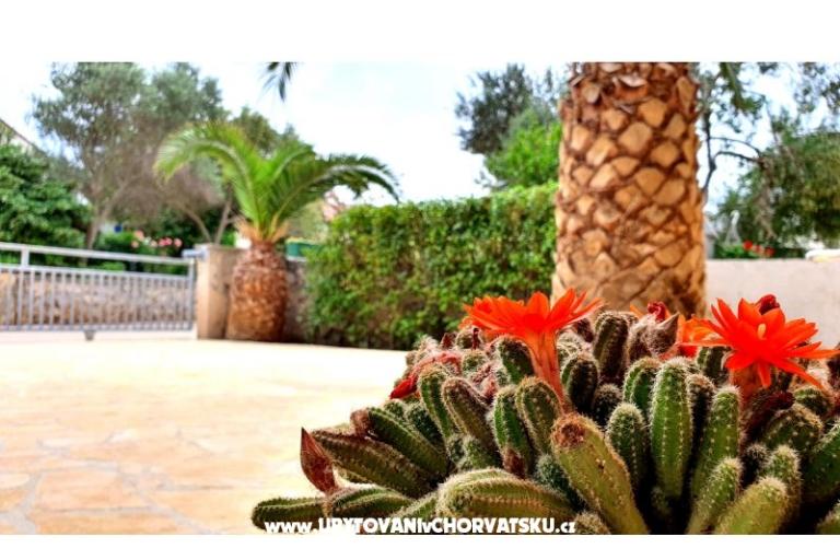 Happy Pineapple апартаменты Vir – фото 6