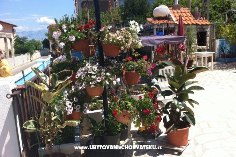 Petra apartmani – фото 11