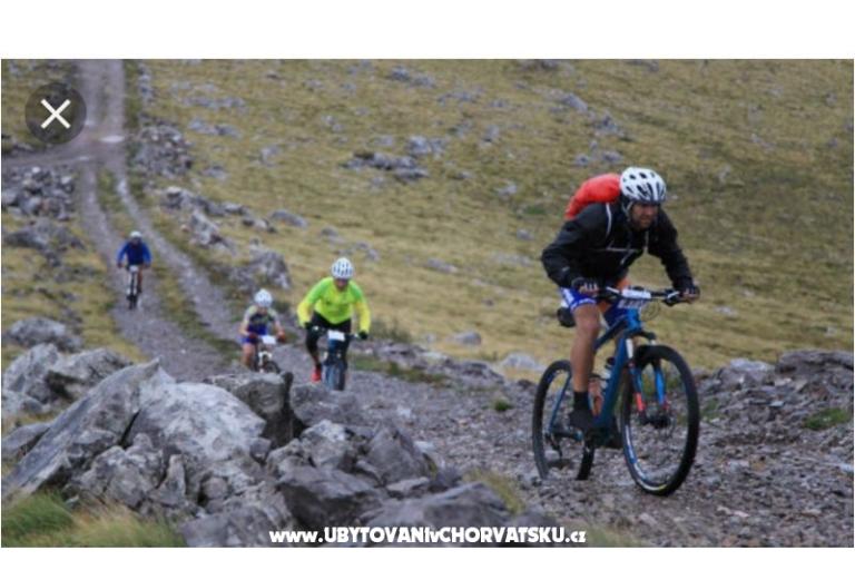 апартаменты Ivica i Ljuba Cukrov  – фото 17
