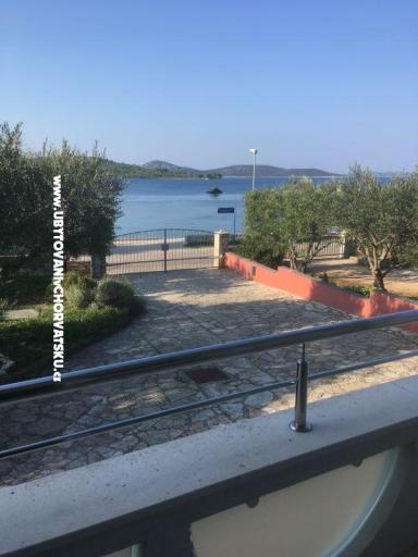 Galeb – фото 10