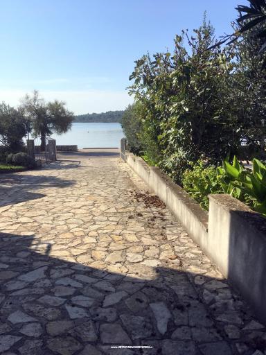 Galeb – фото 8