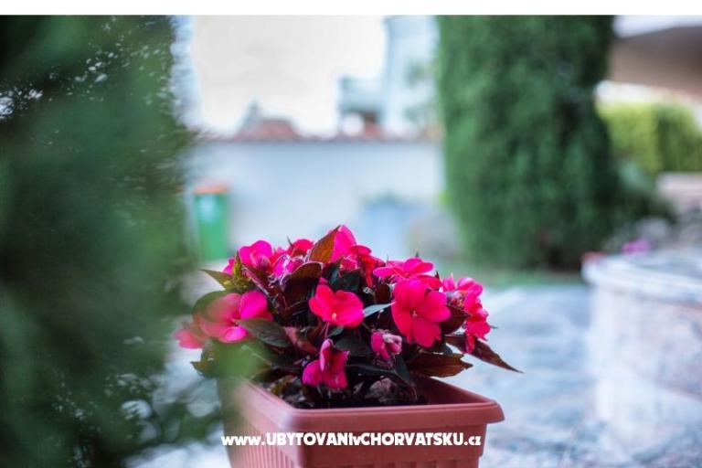 Villa Lovas – фото 6