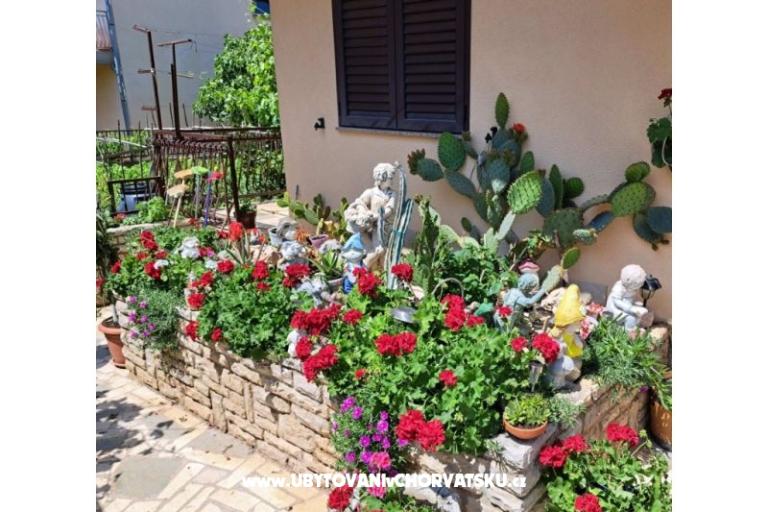 Villa Neda – фото 3