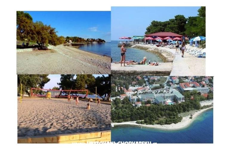 App Andrijana Zadar - 50 m beach – фото 17