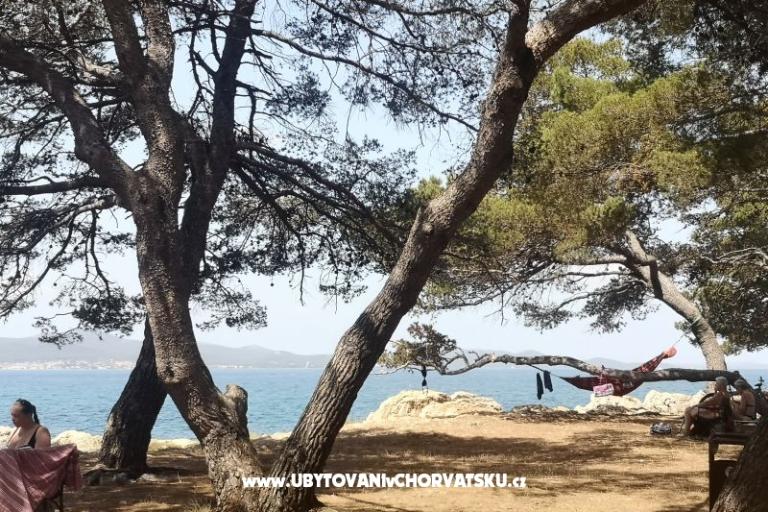 апартаменты Asea Zadar – фото 6