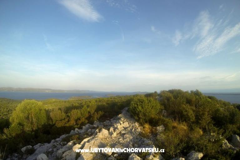 Esso Grиe – фото 16