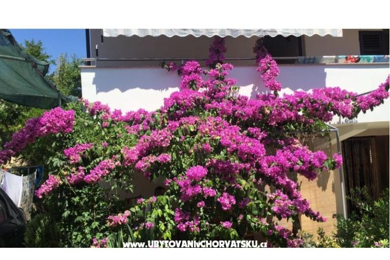 Lucija apartmány – фото 2
