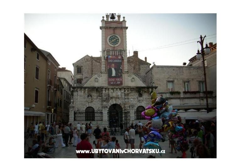 Stan Zadar – фото 11